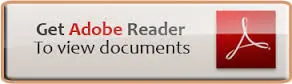 Adobe Flash Logo